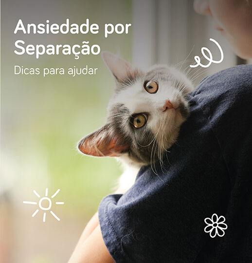 Ansiedade por Separa&ccedil;&atilde;o